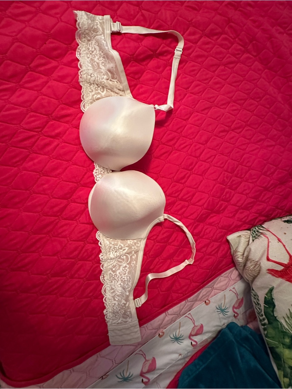 Cacique Cream Lace-Trim Bra with Adjustable Straps - Picture 3 of 3